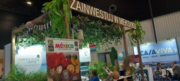 Mieszkania w&nbsp;Meksyku