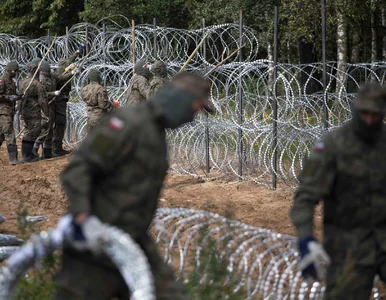 Miniatura: Polska organizuje samoloty dla imigrantów?...