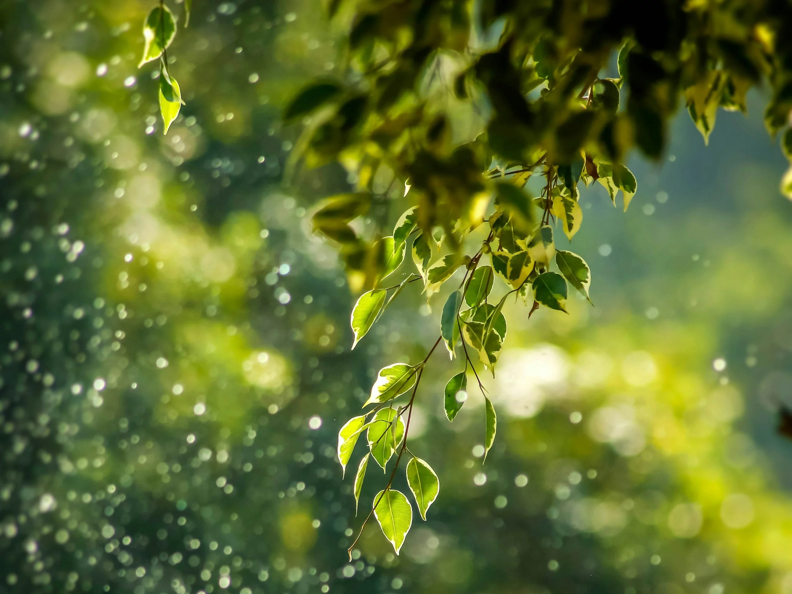 Quiz z przyrody. To powinien wiedzieć każdy