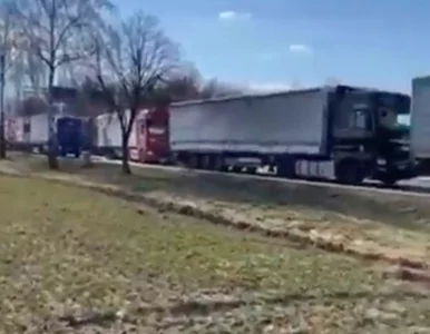 Miniatura: Aktywiści blokują TIR-y na granicy z...