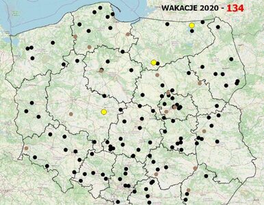 Miniatura: Wakacje 2020. Policja publikuje mapę...