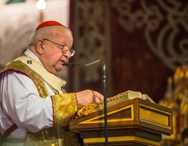 Miniatura: Onet: Papież Franciszek bierze na celownik...