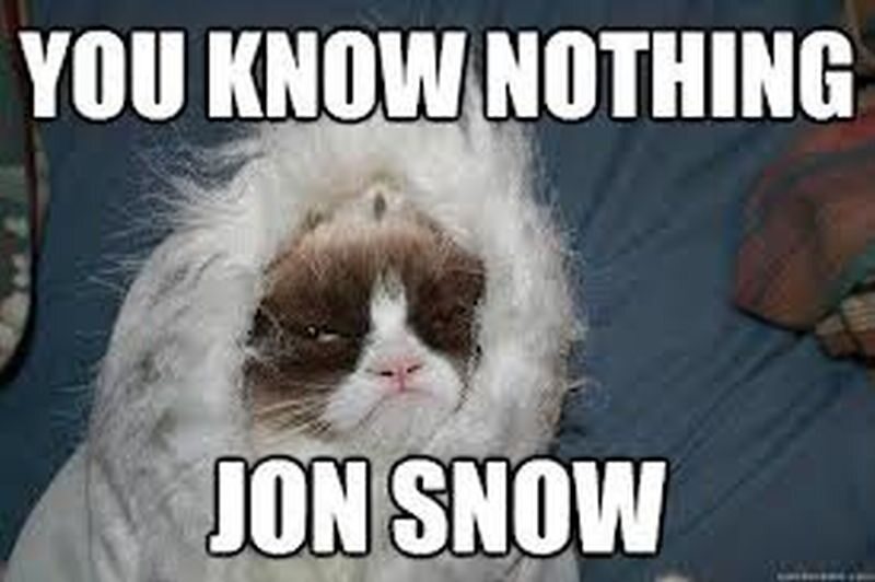 Nic nie wiesz, Jonie Snow 