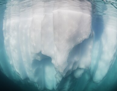 Miniatura: Pod lodami Antarktydy odkryto setki...