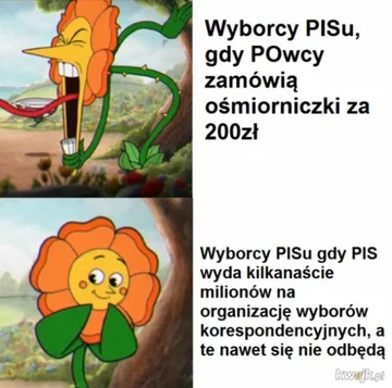 Mem po decyzji o przesunięciu terminu wyborów 