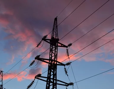 Miniatura: Polskie firmy pomagają Ukrainie w...