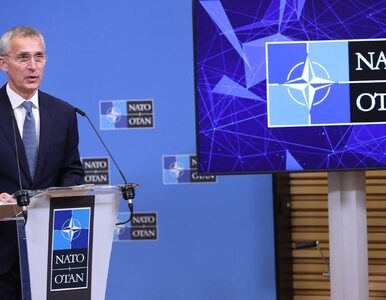 Miniatura: Sekretarz generalny NATO o wykorzystywaniu...