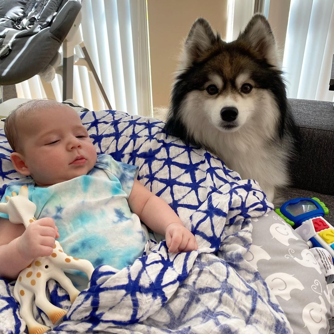 Norman i dziecko 