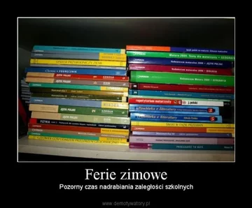 Ferie zimowe 2020 - memy 