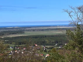 Miniatura: Wójt rezygnuje z inwestycji, bo mieszkańcy...