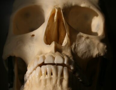 Miniatura: Odnaleziono szkielet zaginionej przed 27...
