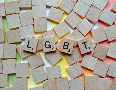 Miniatura: Komu pomoże karta LGBT? Długofalowo PiS...