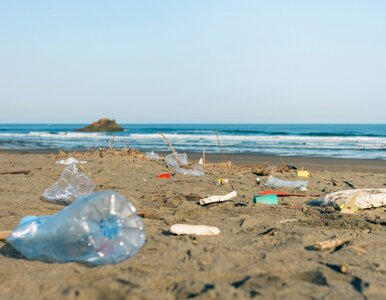 Miniatura: Za co można otrzymać mandat na plaży? Na...