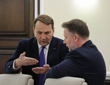 Miniatura: Polacy wysłali Sikorskiemu sygnał. Szef...