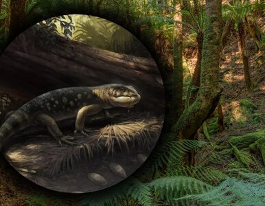 Miniatura: „Król goblinów” nie tylko w Hobbicie....