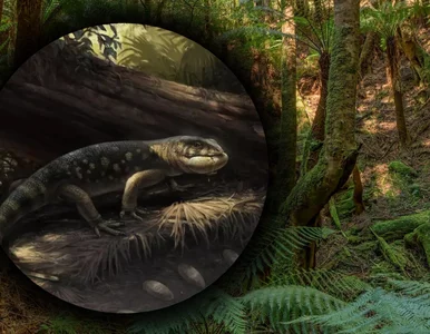 Miniatura: „Król goblinów” nie tylko w Hobbicie....