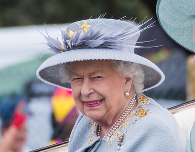 Miniatura: Elżbieta II dostała szalikiem w twarz....