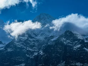 Miniatura: W Tatrach gawruje niedźwiedź. TPN wydał...