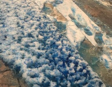 Miniatura: W Petersburgu spadł niebieski śnieg. Jak...
