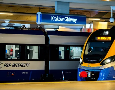 Miniatura: Podróż z PKP od 21 proc. taniej. Ogłoszono...