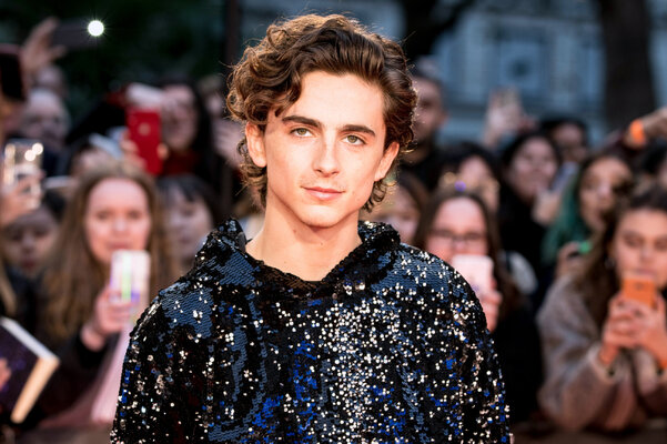 Miniatura: 24-letni aktor Timothée Chalamet