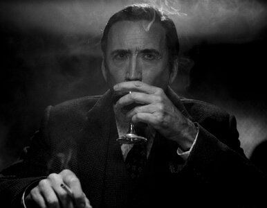 Miniatura: Nicolas Cage w roli życia? Serial wychodzi...