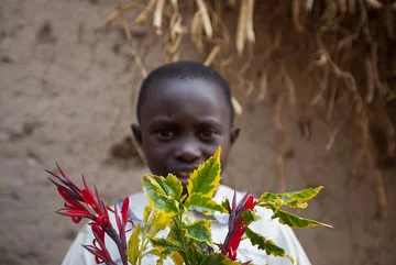 Rwanda. 72 dolary miesięcznie na osobę dorosłą. Kolorowe liście 