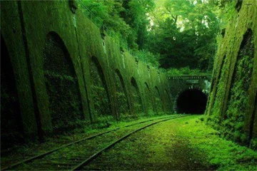 Kolej Petite Ceinture, Francja