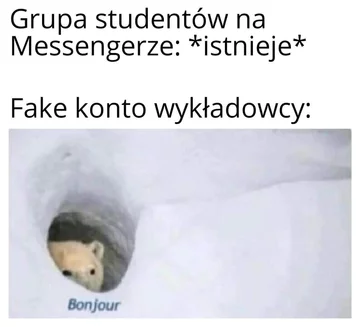 Mem z wykładowców włamujących się na grupki studenckie 