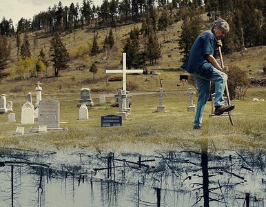 Miniatura: 17 filmów, które w ubiegłym roku walczyły...