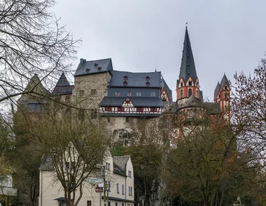 Miniatura: Ludowa piosenka godzi w prawa zwierząt?...