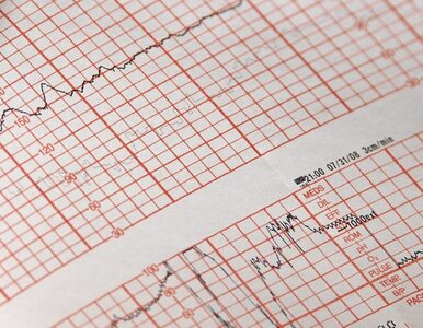 Miniatura: EKG a echo serca. Poznaj różnicę między...