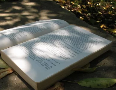 Miniatura: Na targach książki we Frankfurcie pokazano...