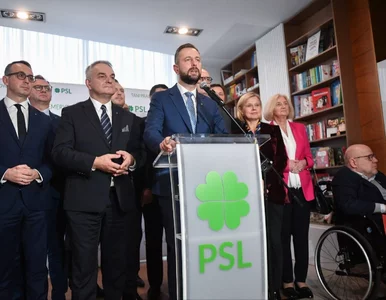 Miniatura: Co z PSL i Polską 2050 w następnych...