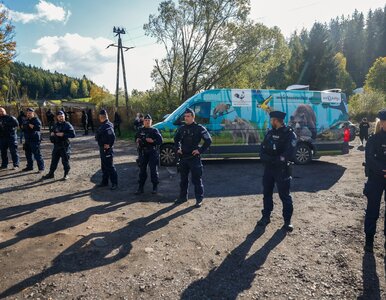 Miniatura: Właściciel Zoo Łączna bez aresztu. Policja...
