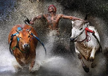 W kategorii Sport Action (Akcja sportowa) pierwsze miejsce zdobyła praca Wei Seng Chena pt. "Joy at the end of the run" ("Radość na koniec biegu").