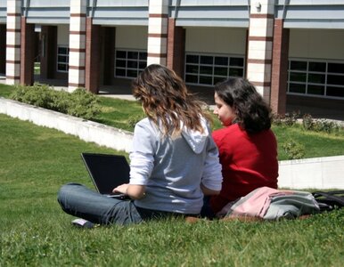 Miniatura: Studia i praca? Cudzoziemcy będą mieli...