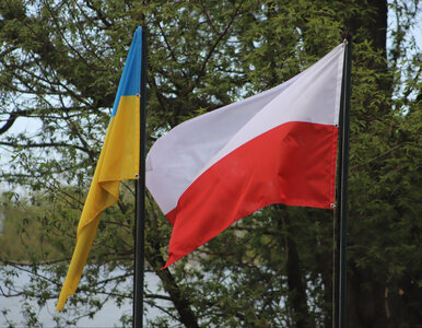 Miniatura: Wołyń a wsparcie dla Ukrainy. Nowy sondaż...