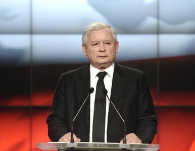 Miniatura: Kaczyński chwali Krupkę. "Intensywna...