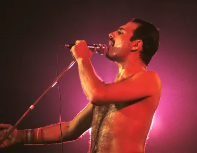 Miniatura: W Warszawie powstanie aleja Freddiego...