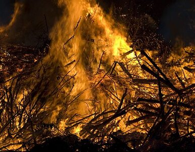 Miniatura: Spłonął dom jednorodzinny. 74-latek nie żyje