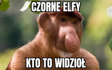 Mem atakujący osoby oburzone na ciemnoskóre elfy 