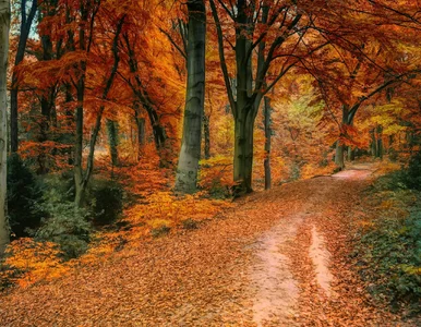 Miniatura: QUIZ z przysłów z miesiącami. Konia z...