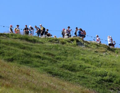 Miniatura: Takiego tłumu w Tatrach się nie...