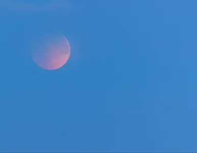 Miniatura: Wieczorem wystarczą oczy i lornetki....