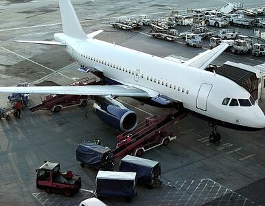 Miniatura: Pojazd uszkodził samolot na Lotnisku Chopina