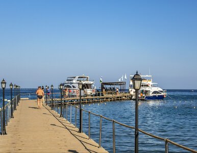 Miniatura: Zamykają egipskie plaże. Rekiny...