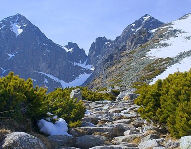 Miniatura: Pozamykane szlaki w Tatrach. Będzie można...