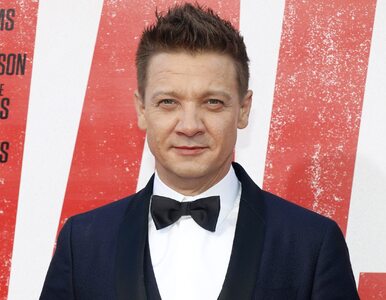 Miniatura: Jeremy Renner miał wypadek. Gwiazdor...