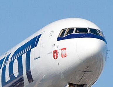 Miniatura: LOT lepszy od Lufthansy i US Airlines